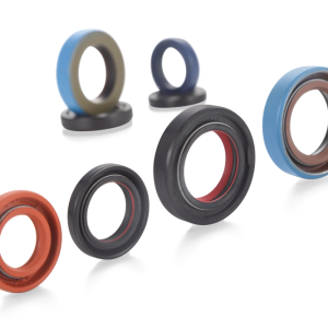 Automobile Engine Seals