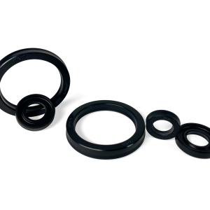 Gas Spring Seals