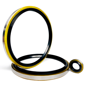 Wiper Seals (Dust Seals)