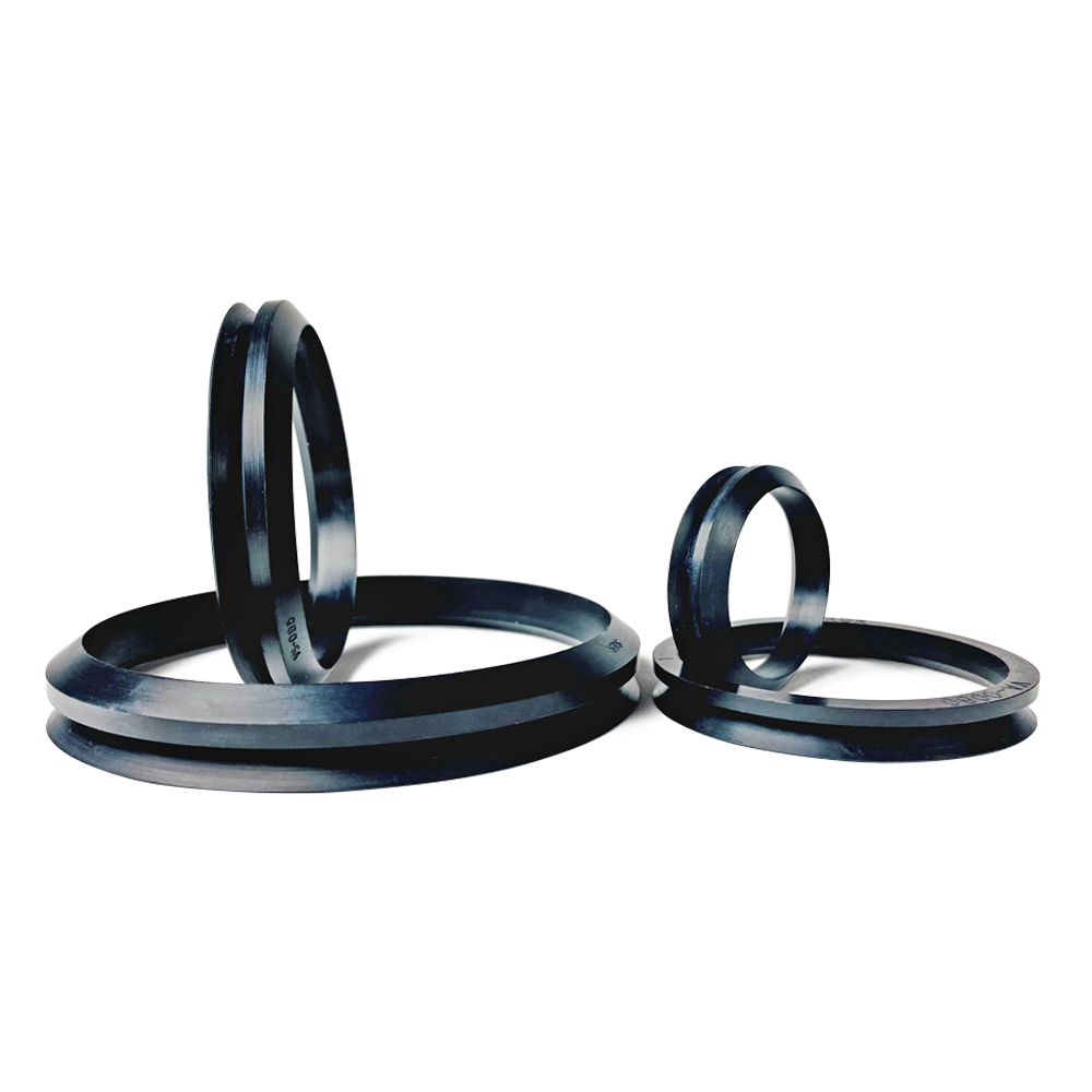 V Seals