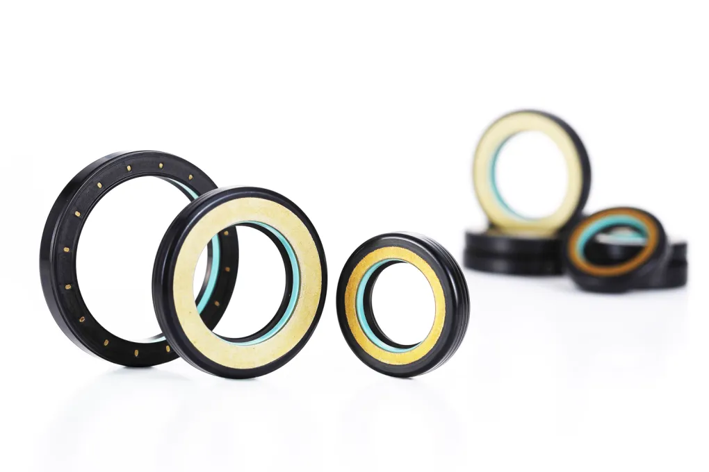 Oil Seals